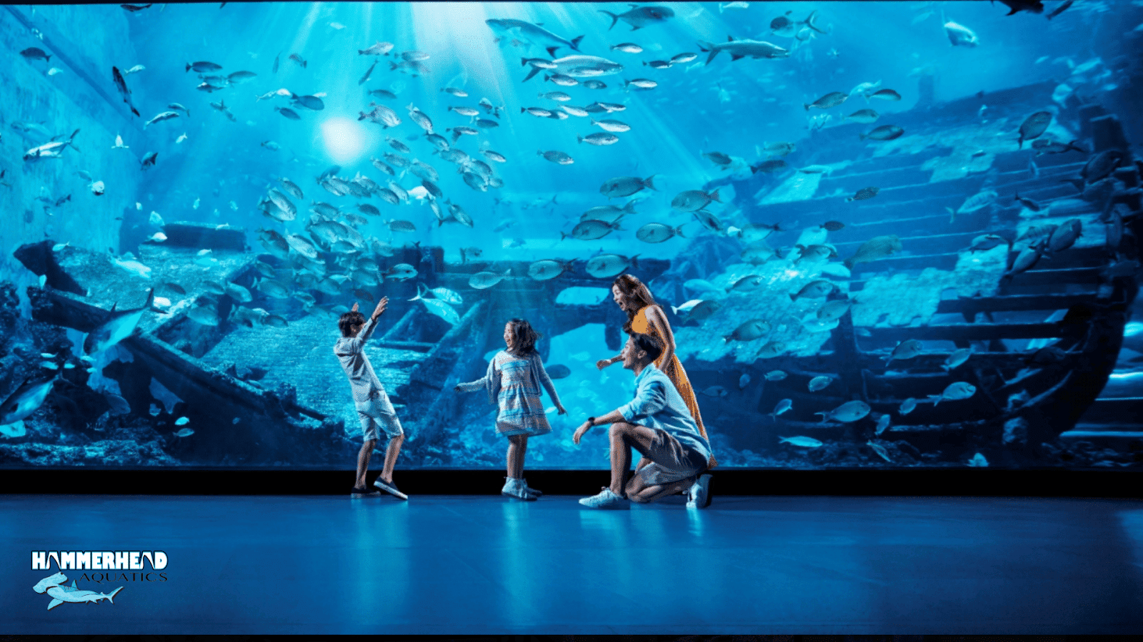 Large luxury aquarium with clear acrylic window showcasing marine life