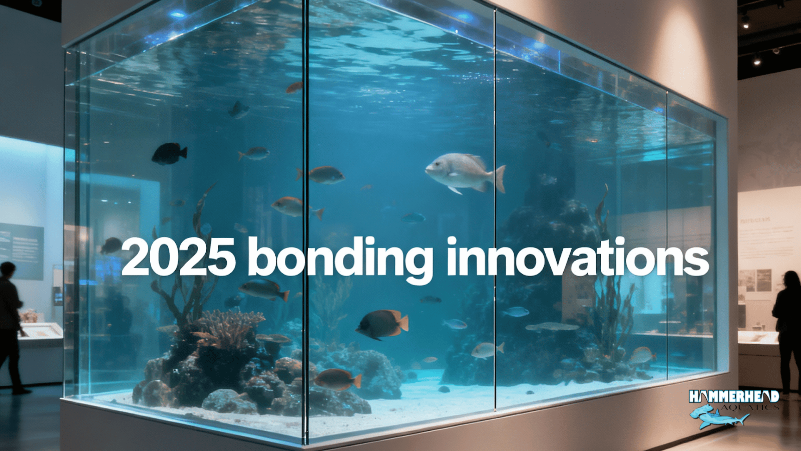 Large acrylic aquarium panel demonstrating near-invisible bonding techniques in 2025.