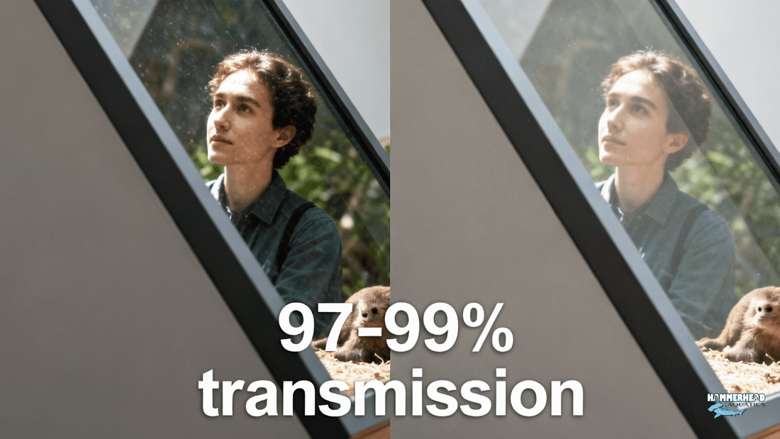 Split-view glare test showing reduced reflections on anti-reflective zoo glass with high transmission.