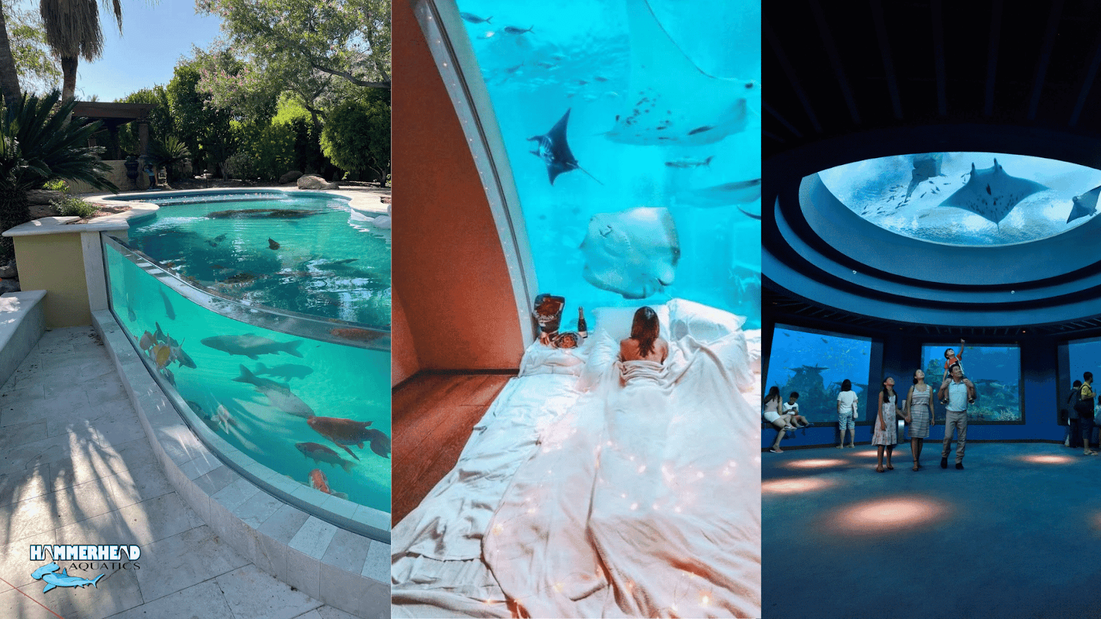 Technical applications of underwater windows including research tanks, ships, and flood barriers.