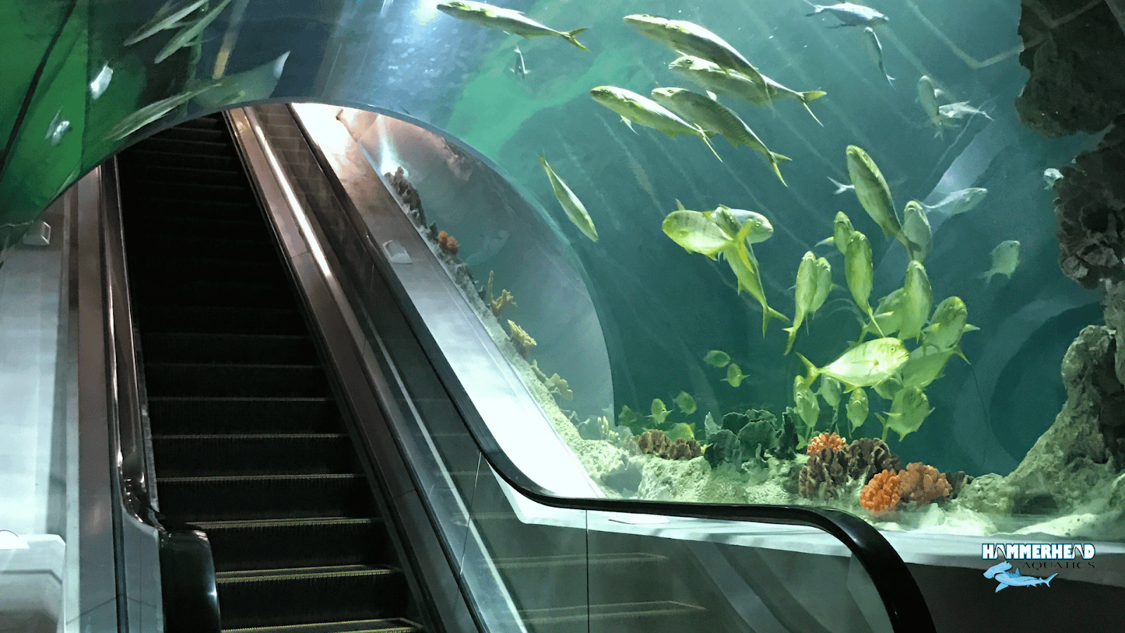 Hydrostatic pressure on an acrylic underwater window panel.