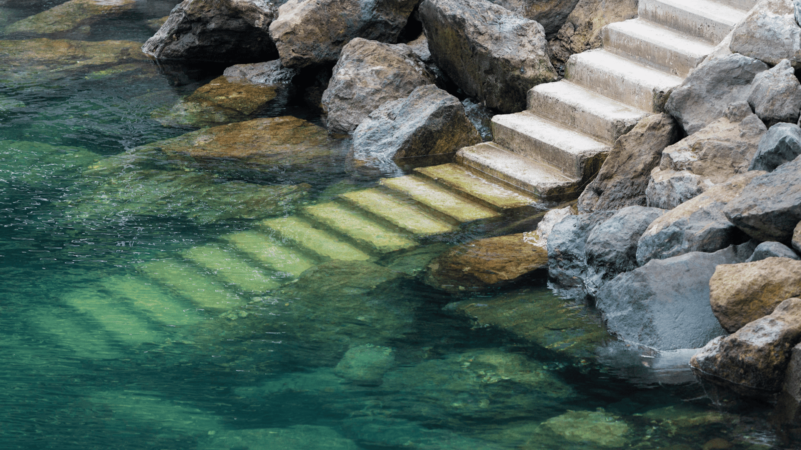 Underwater viewing panel in a river fish ladder for ecological studies
