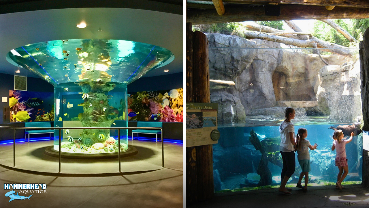 Side-by-side acrylic vs glass underwater windows showing clear curved acrylic tunnel and thicker flat glass pane with heavier frame