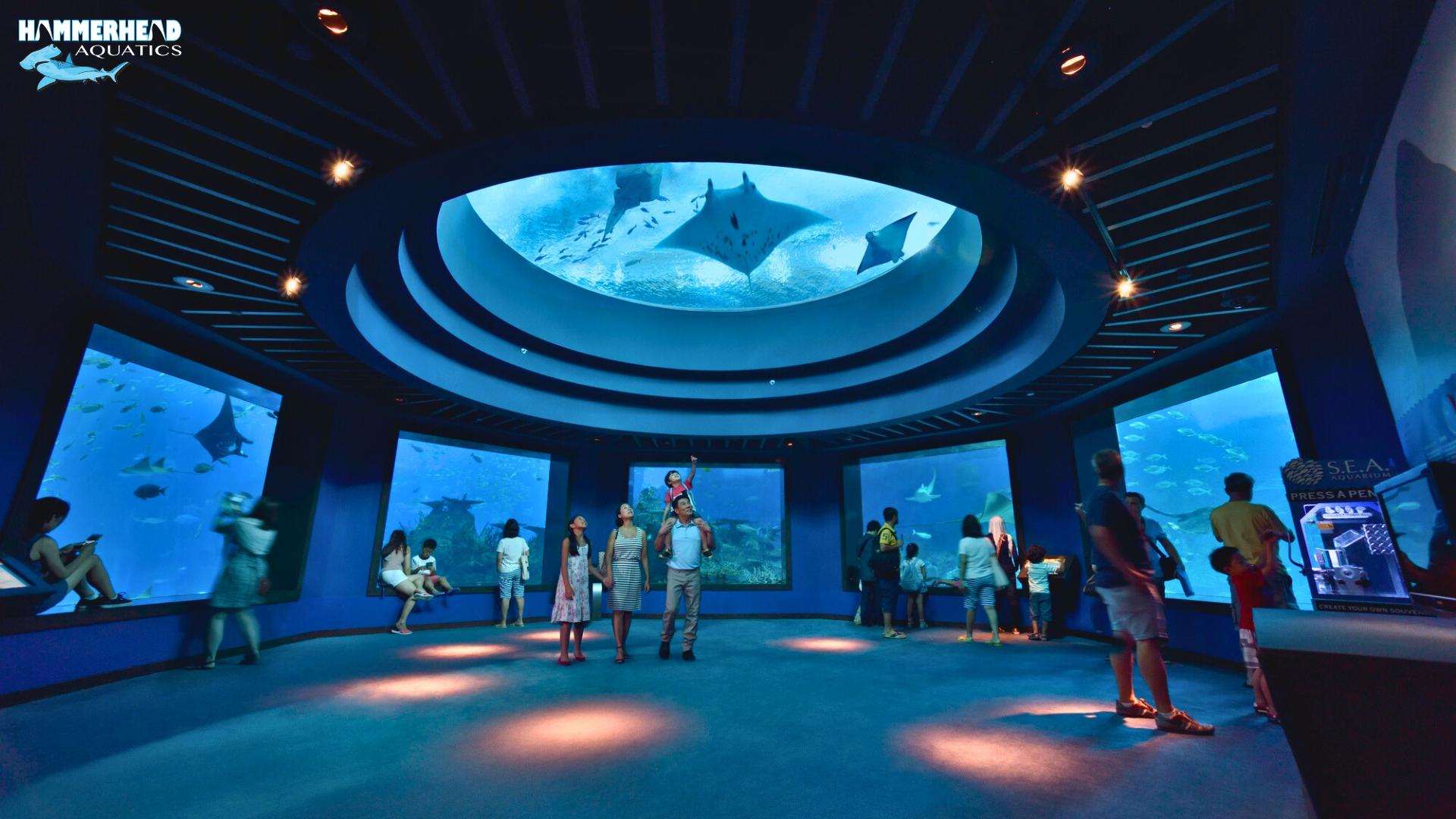 Large public aquarium with clear glass window showcasing fish and coral