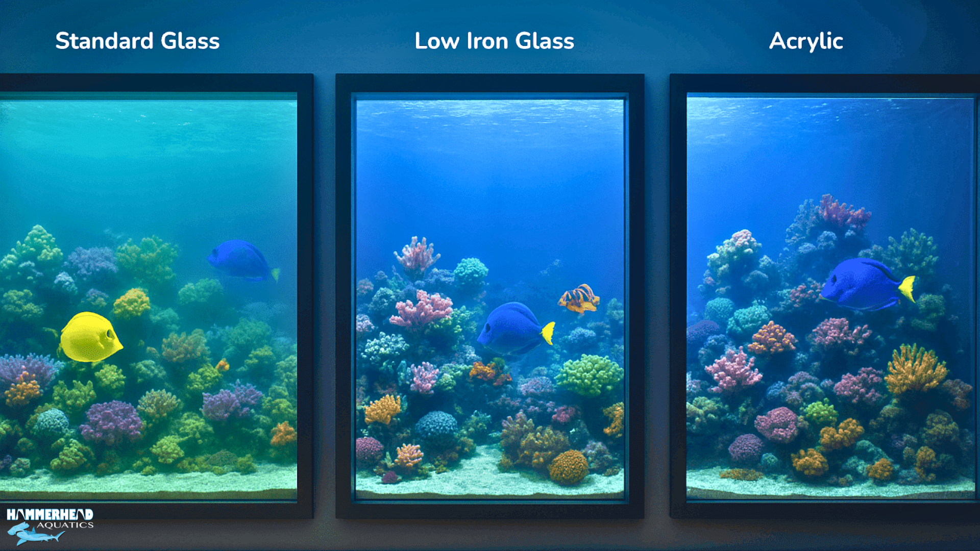 Comparison of low iron glass, standard glass, and acrylic panels used for aquarium windows.