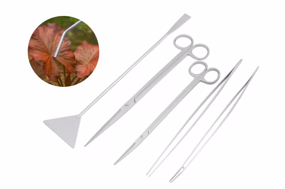 A clean white background displays five stainless steel aquascaping tools: a sand flattener, curved scissors, straight scissors, curved tweezers, and straight tweezers. A circular inset shows the curved tweezers gently handling a red aquatic plant leaf. The tools are sleek and precise, designed for detailed aquarium plant care and layout.