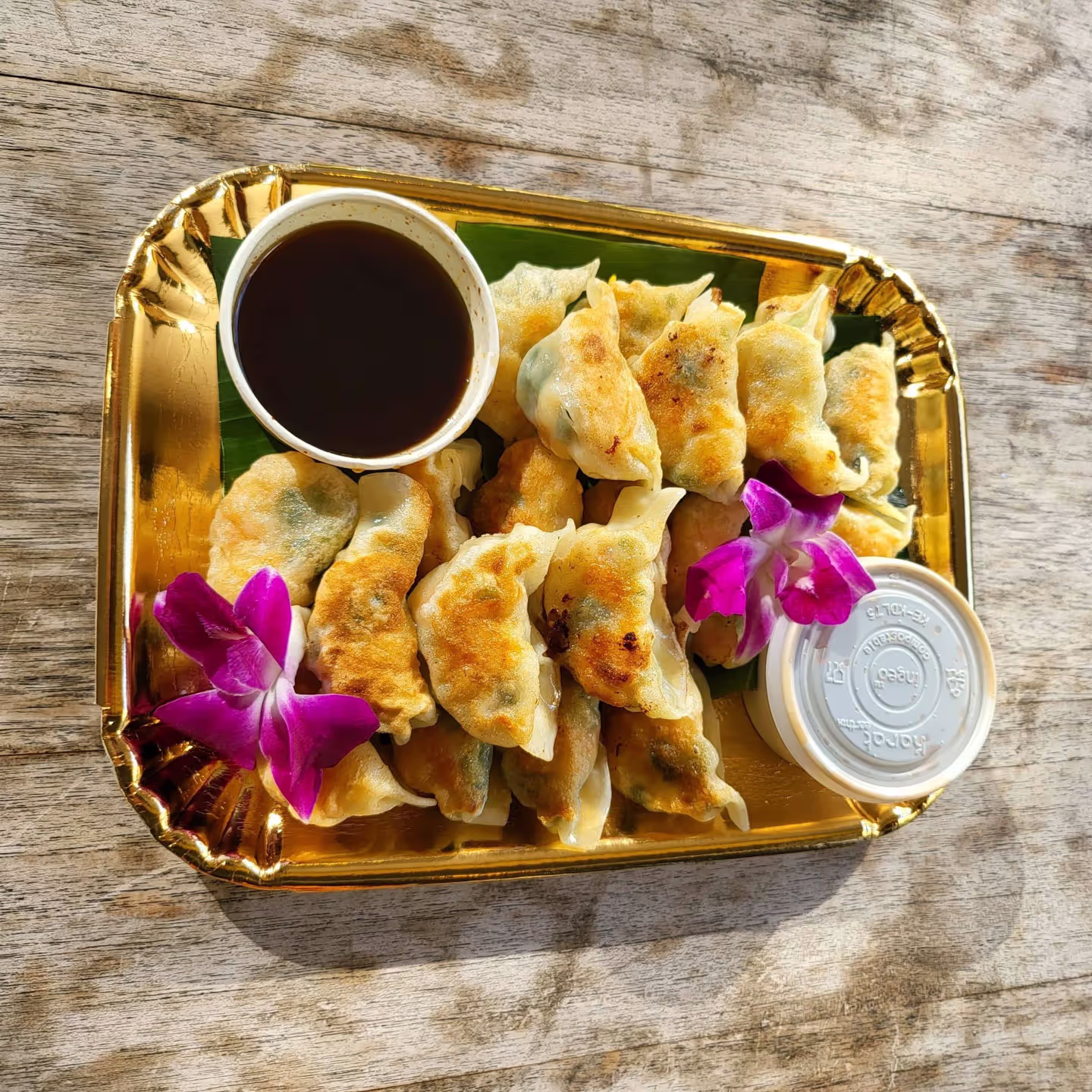 Panya Gyozas