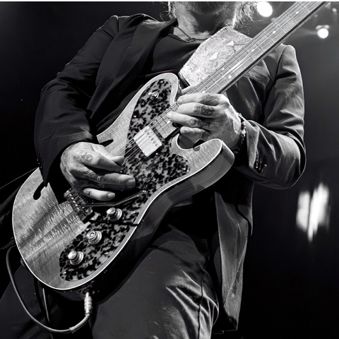Echopark Instruments Custom Series