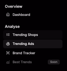 Dashboard Analyse Trending Shops Ads