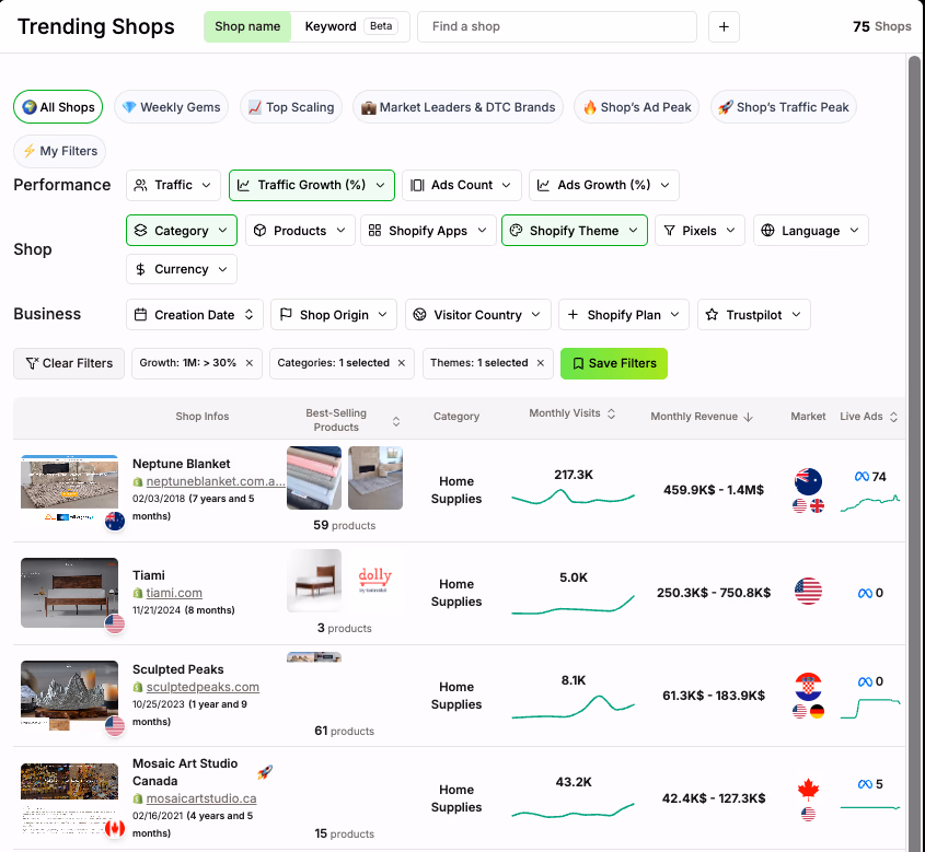 Shopify Store Dashboard View