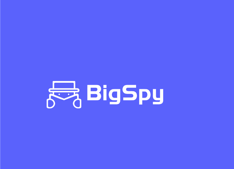 Bigspy Logo Blue Background
