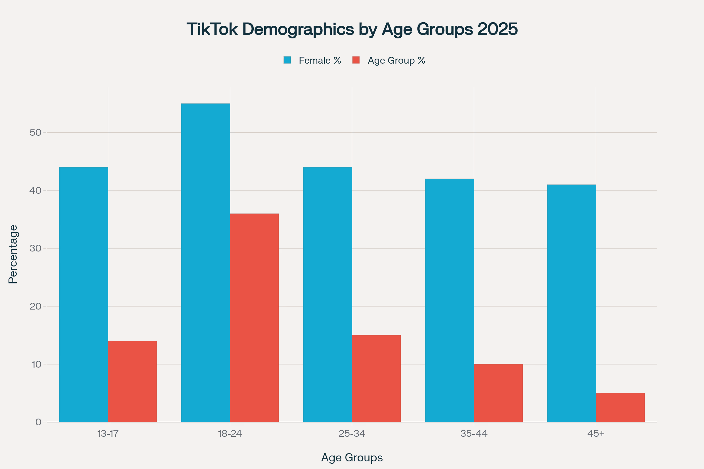 Tiktok Age Group Demographics