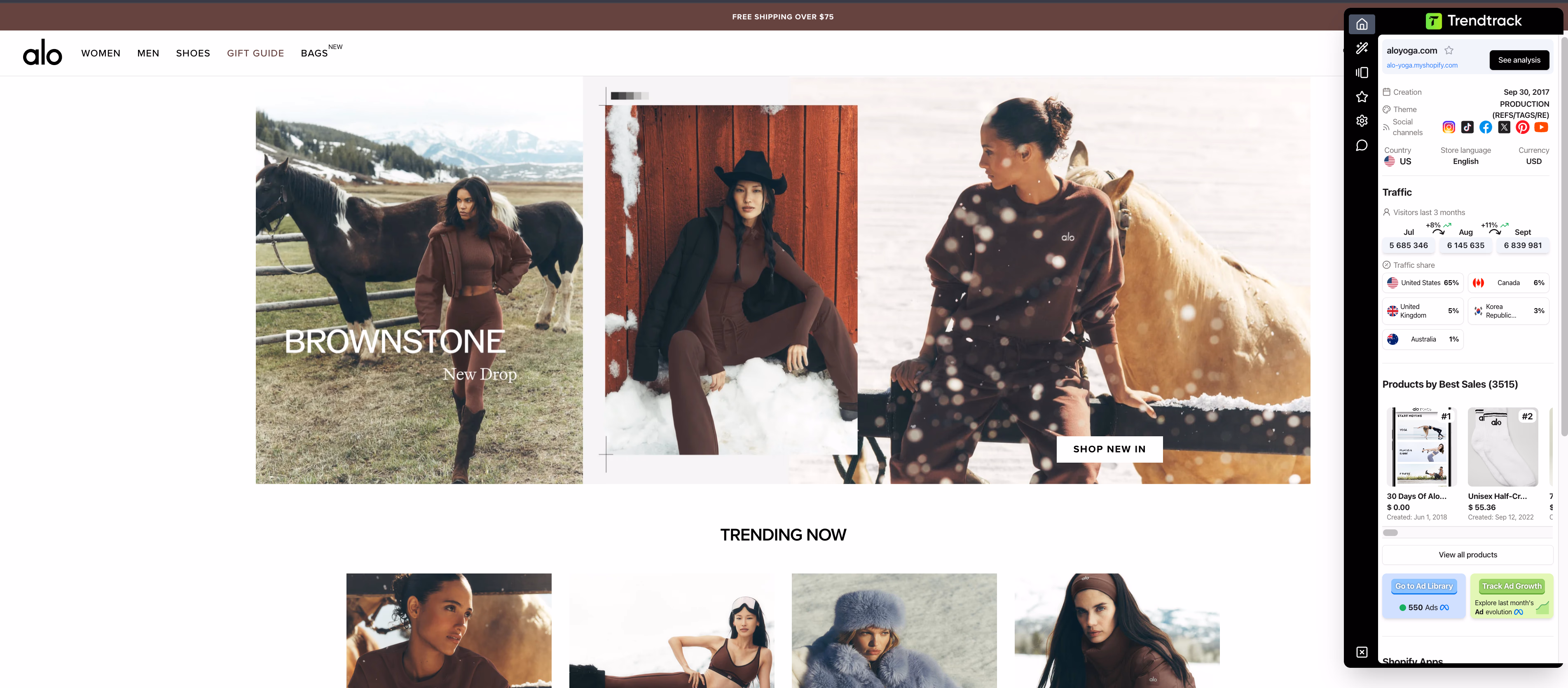 Alo Yoga Website Brownstone