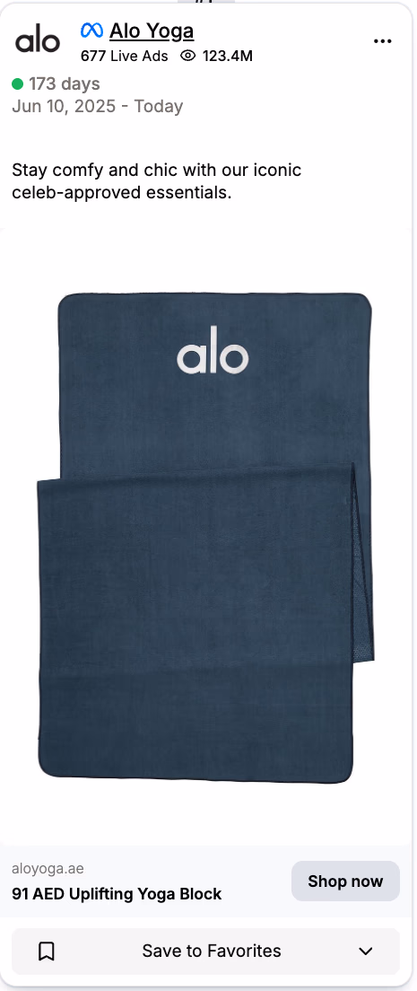 Alo Yoga Block Blue