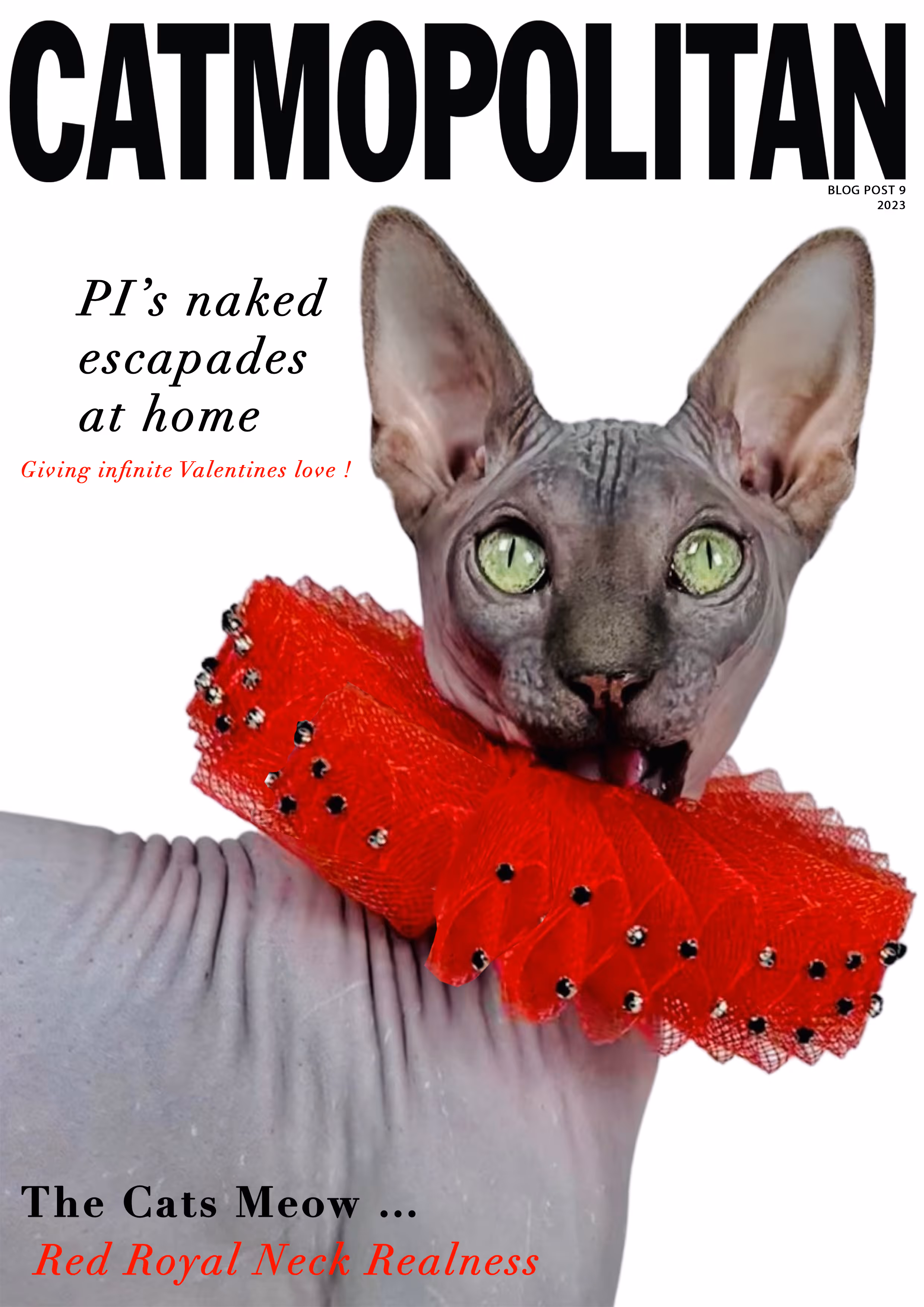 Pet Cuvfurs