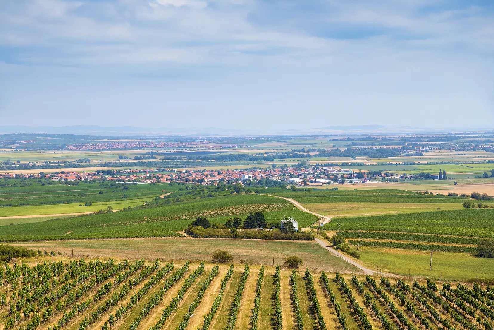 Public Lighting Revitalization in Rakvice