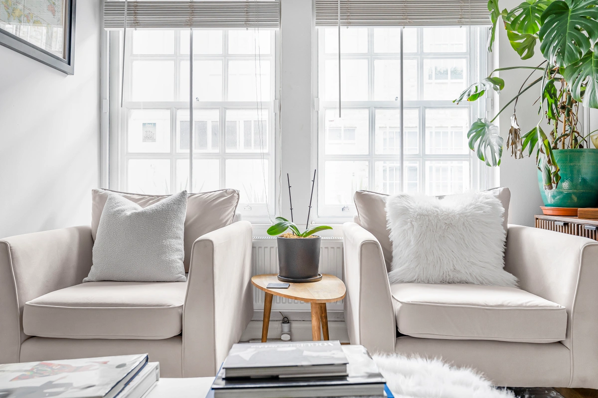 Luxurious armchairs with soft upholstery and contemporary design
