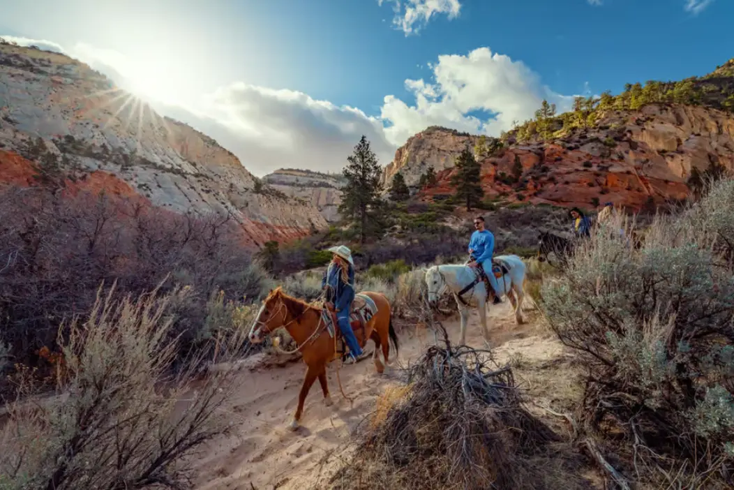 __wf_reserved_inherit