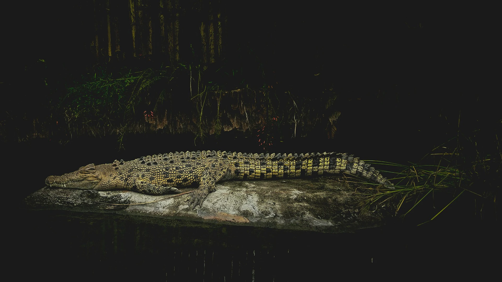 __wf_reserved_inherit