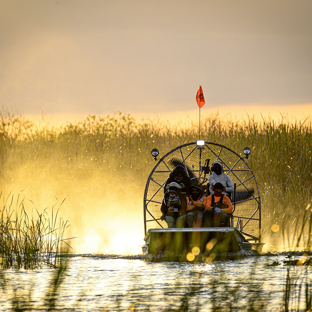 Aéroglisseur transportant plusieurs personnes à travers un marais, au coucher du soleil, lumière dorée et roseaux.