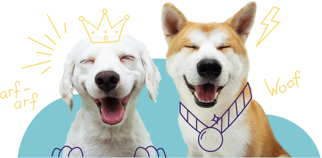 Two cute dogs are smiling.