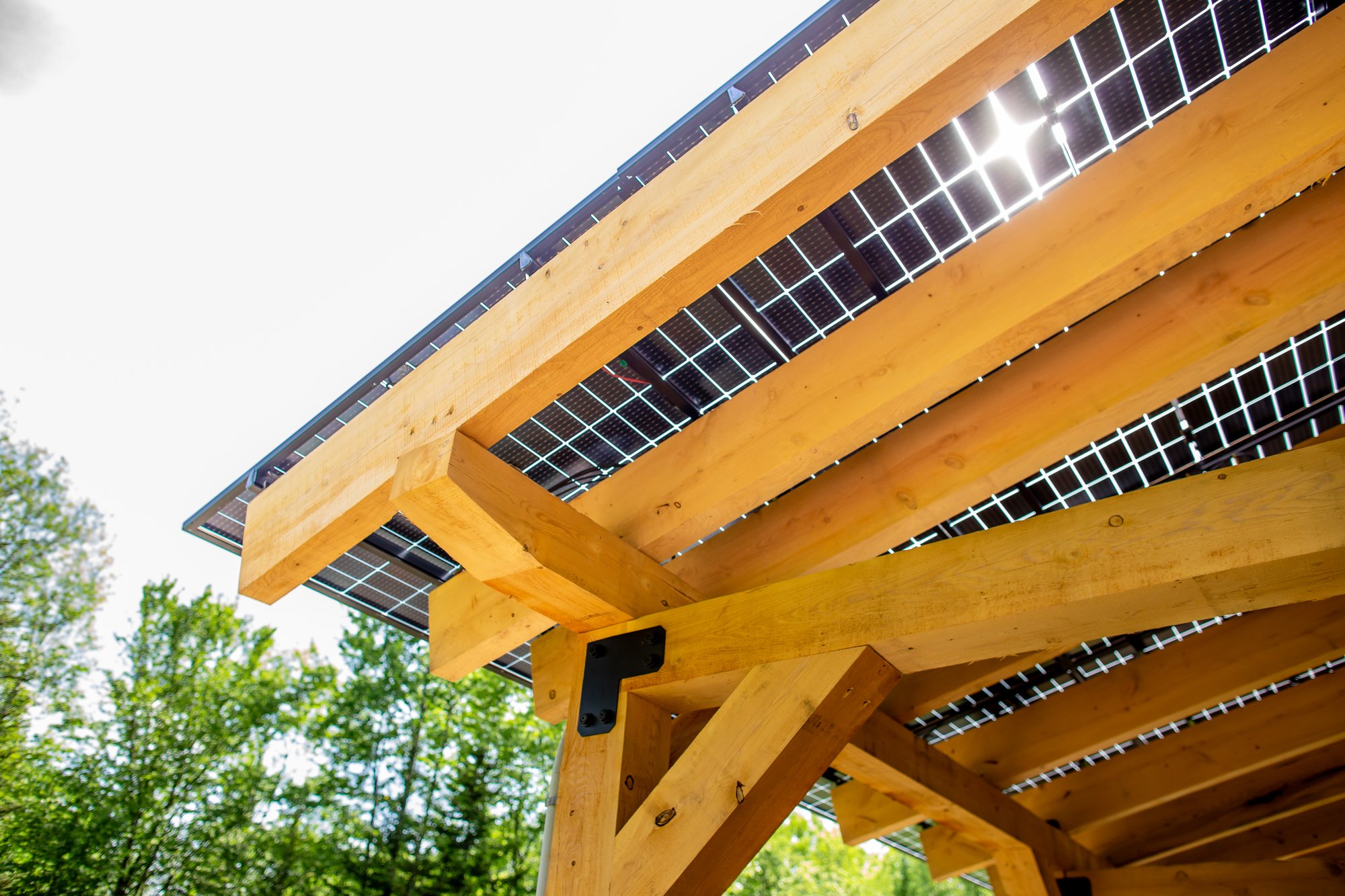 A Kingdom Sun 2-bay timber Sunport with solar panels overhead, seen from below