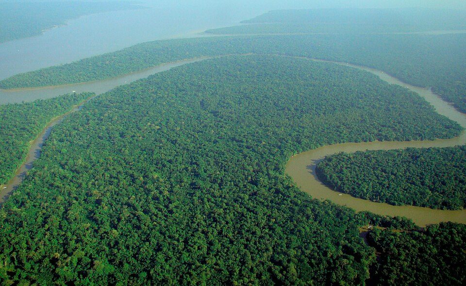 An unbroken stretch of Amazon canopy – carbon kept locked in the trees