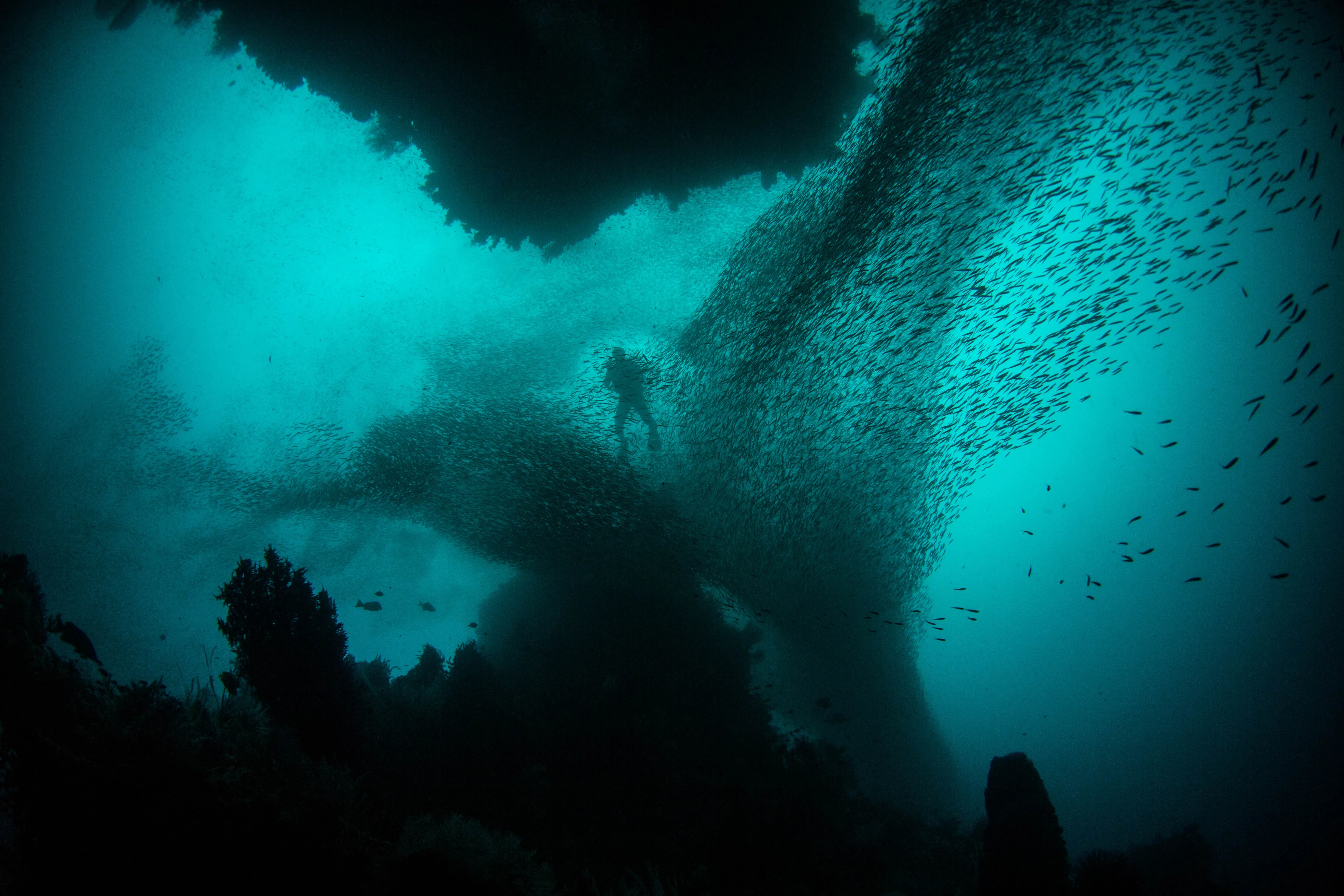 A diver under surface level in the ocean