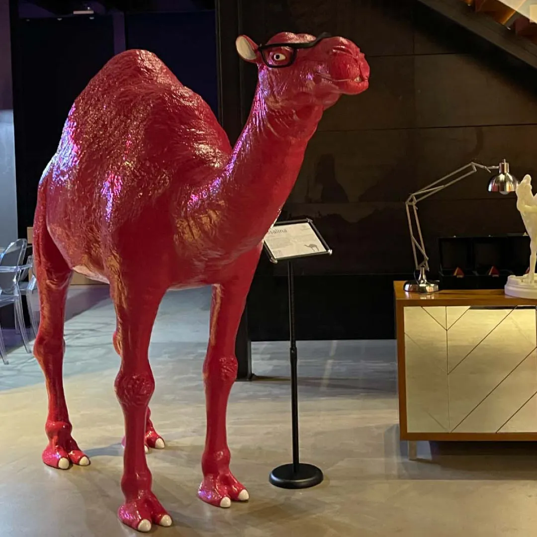 Pink camel
