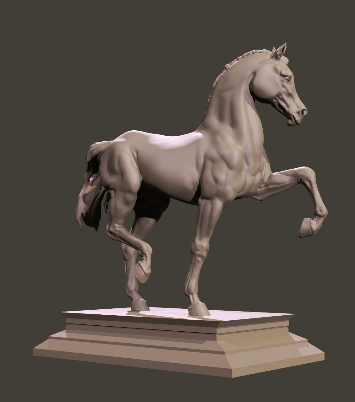 Portfolio Image