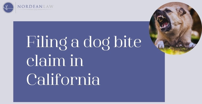 Filing a dog bite claim in California