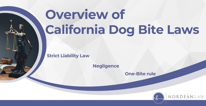 CA Dog Bite Laws
