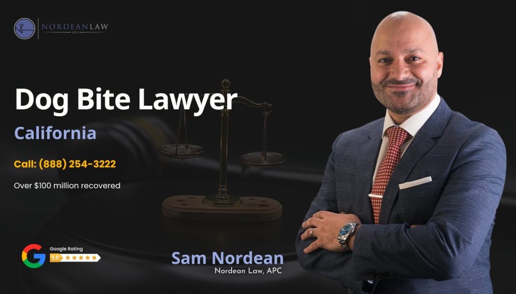 california dog bite lawyer