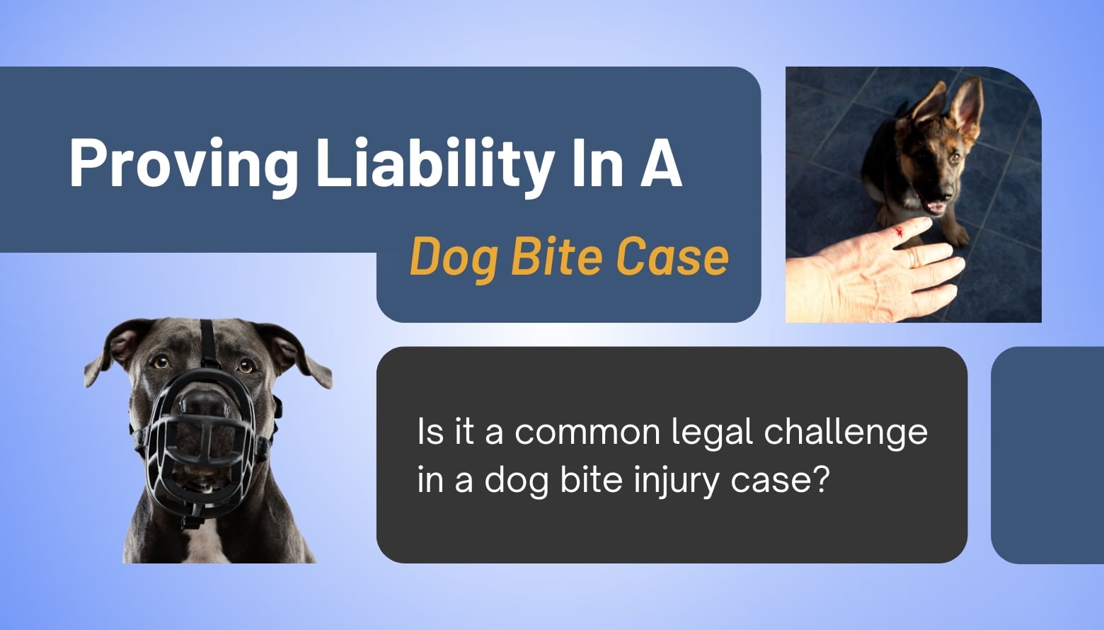 Proving Liability common legal challenge in a dog bite injury case