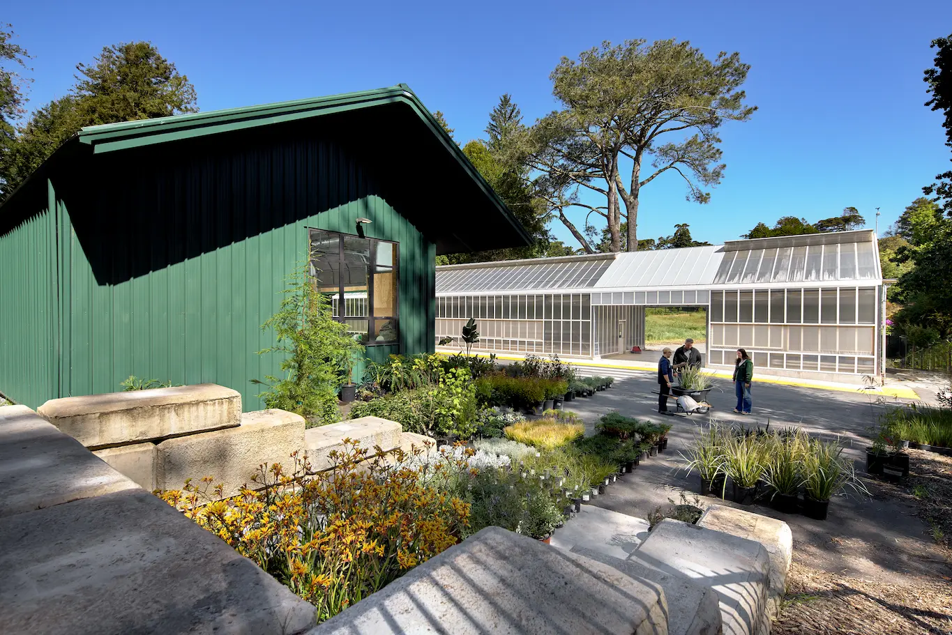 San Francisco Botanical Gardens community engagement area featuring visitors enjoying educational and recreational botanical experiences