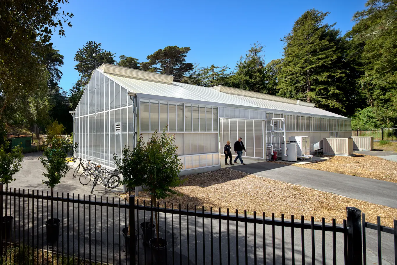 San Francisco Botanical Gardens architectural elements showcasing integration of built environment with native plant collections