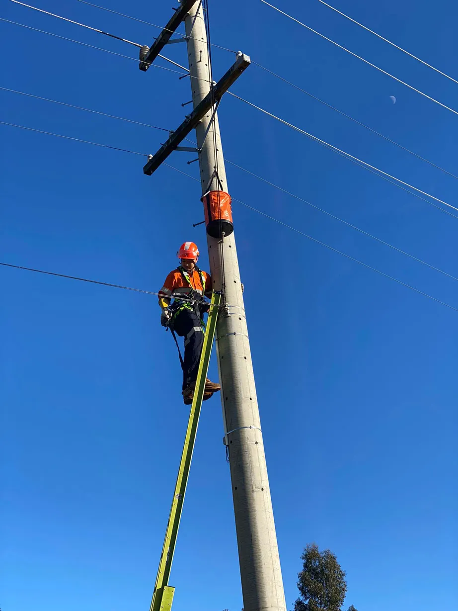 Electrician on electric post