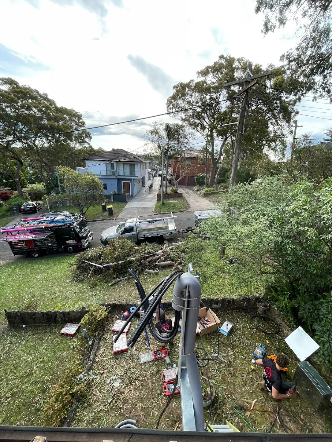 Tree fell on power lines