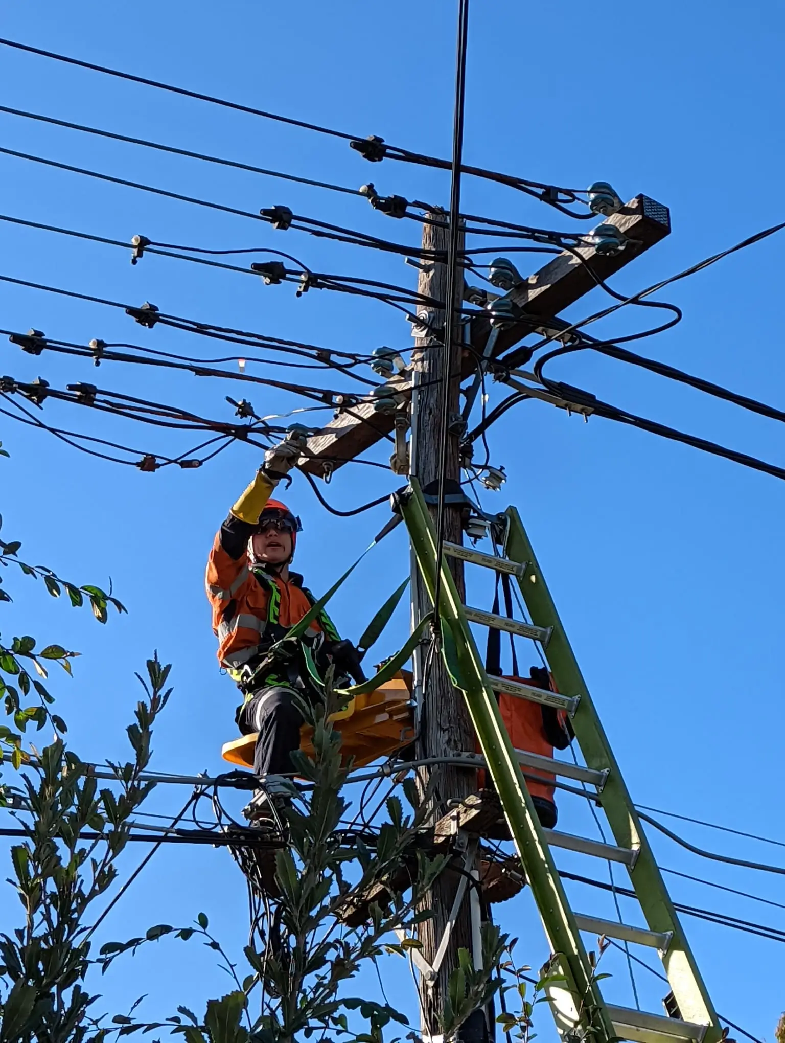 Licensed Sydney electrician conducting a residential electrical safety inspection, checking switchboard wiring and safety switches