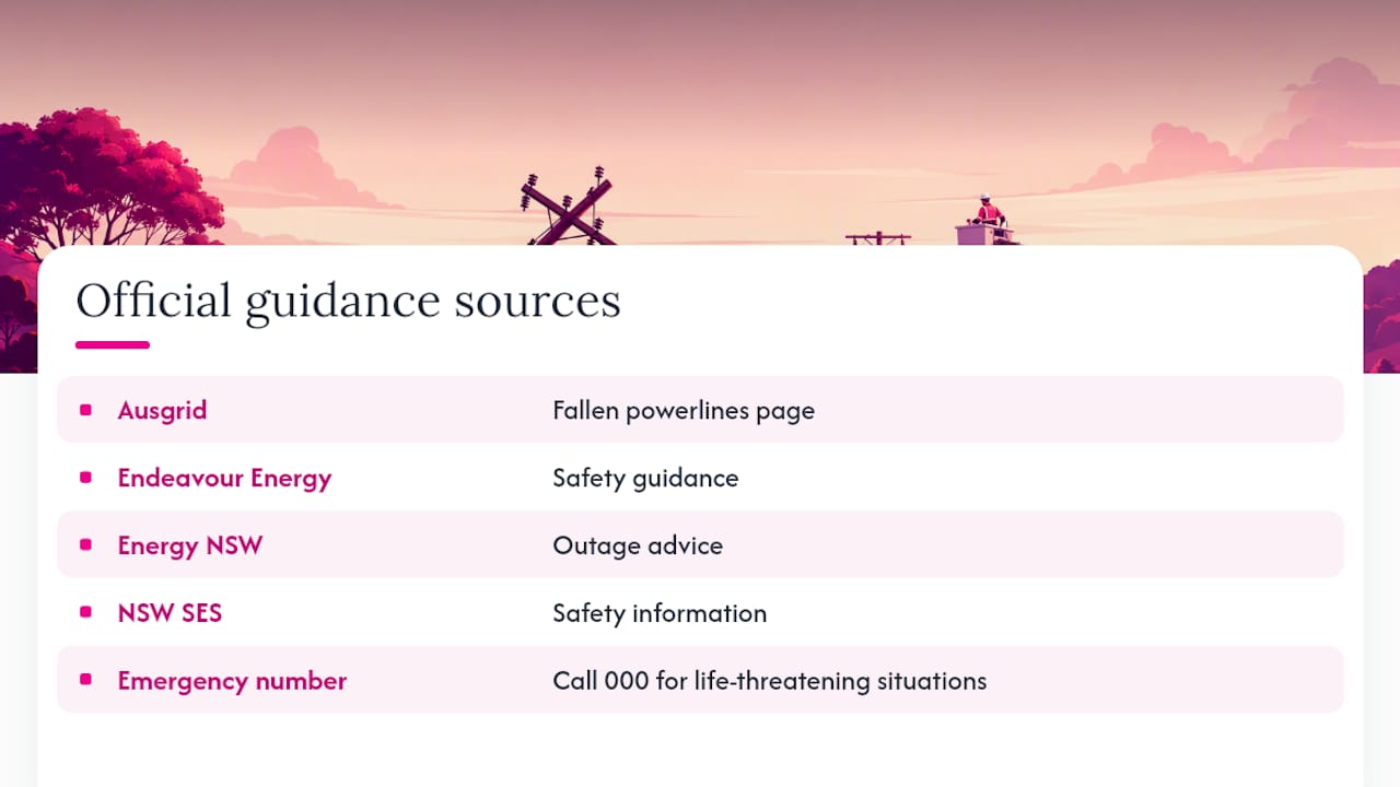 Where to check the official guidance — overview diagram
