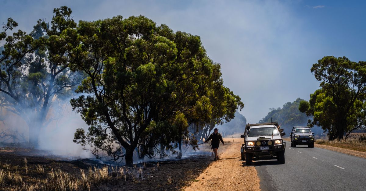 A firefighter controlling a bushfire in Victoria, Australia with vehicles on the scene.