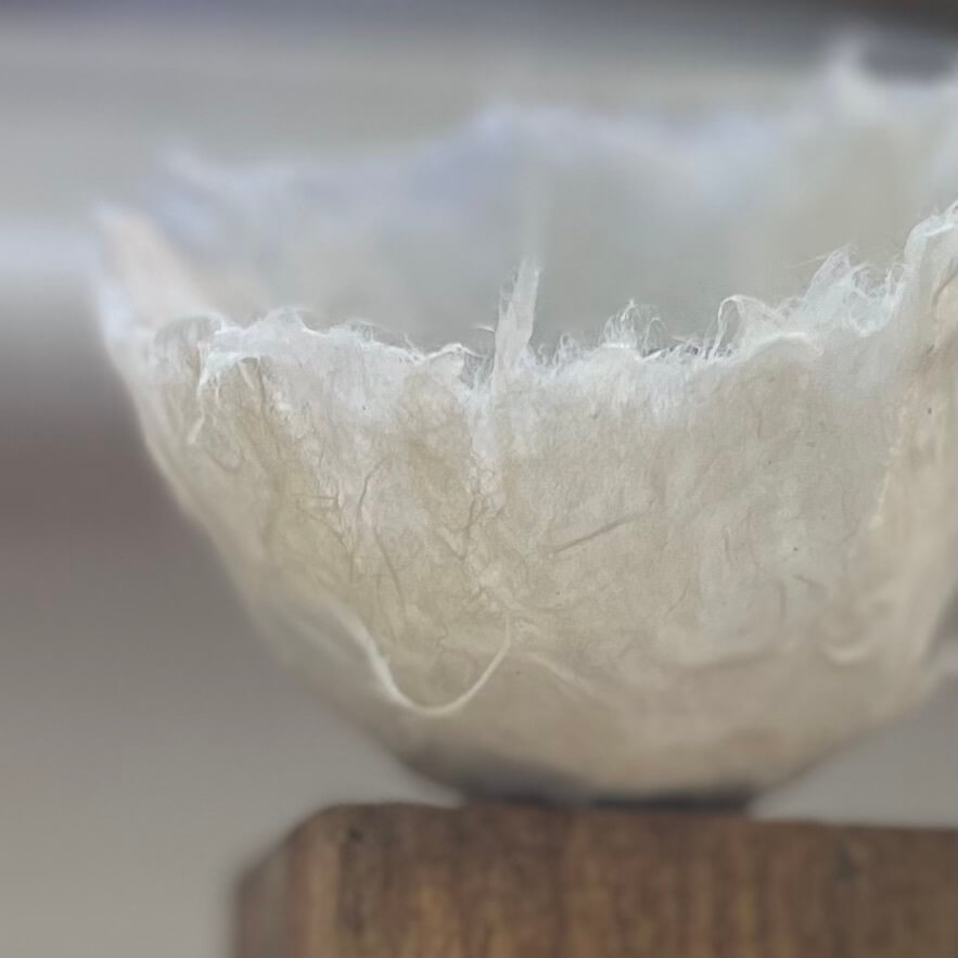 Paper Sculpture Vivienne Schadinsky