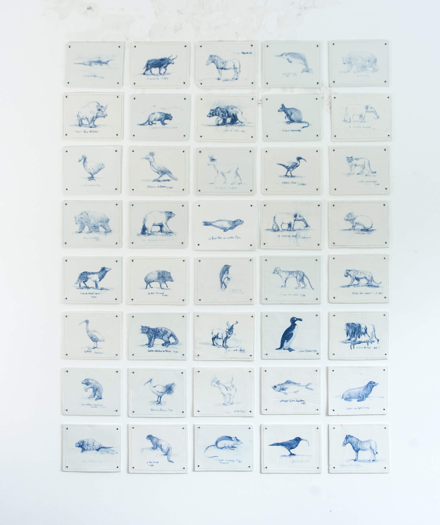 Delphine Grenier artwork