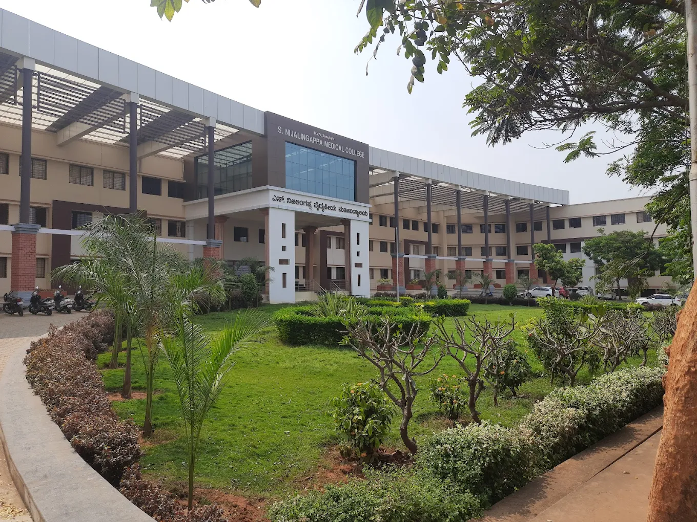 college image