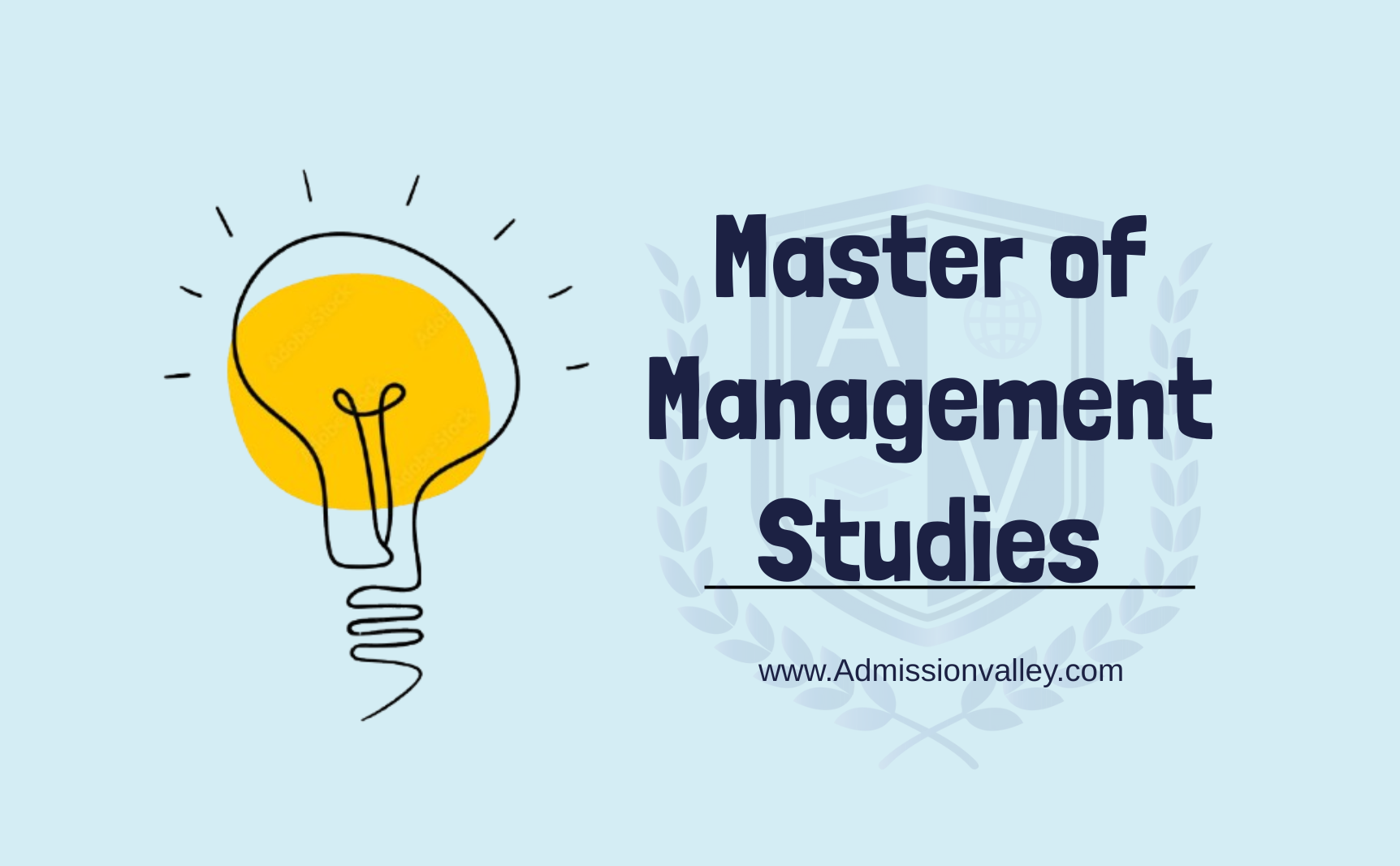 Master of Management Studies (MMS)