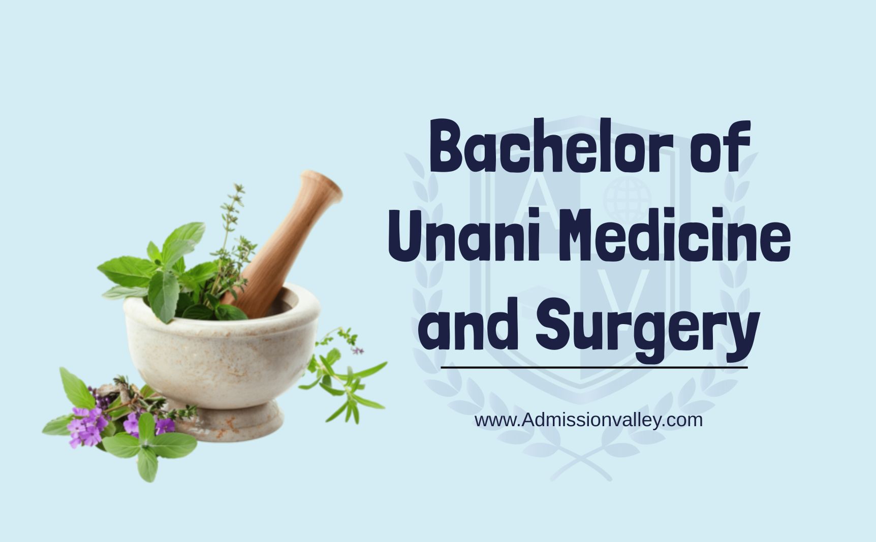 Bachelor of Unani Medicine and Surgery (BUMS)