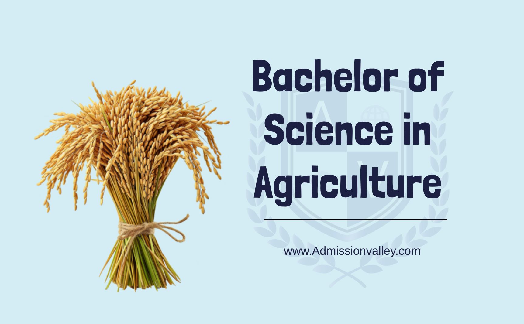 Bachelor of Science in Agriculture (B.Sc Agriculture)