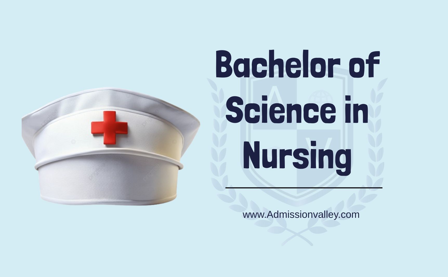 Bachelor of Science in Nursing (B.Sc Nursing)