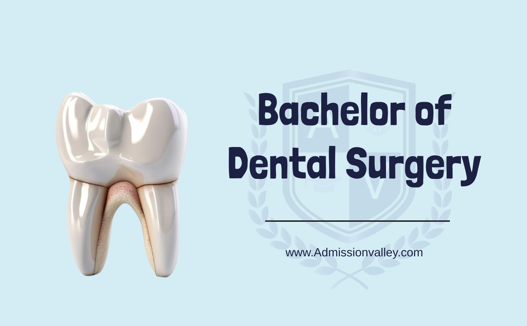Bachelor of Dental Surgery (BDS)