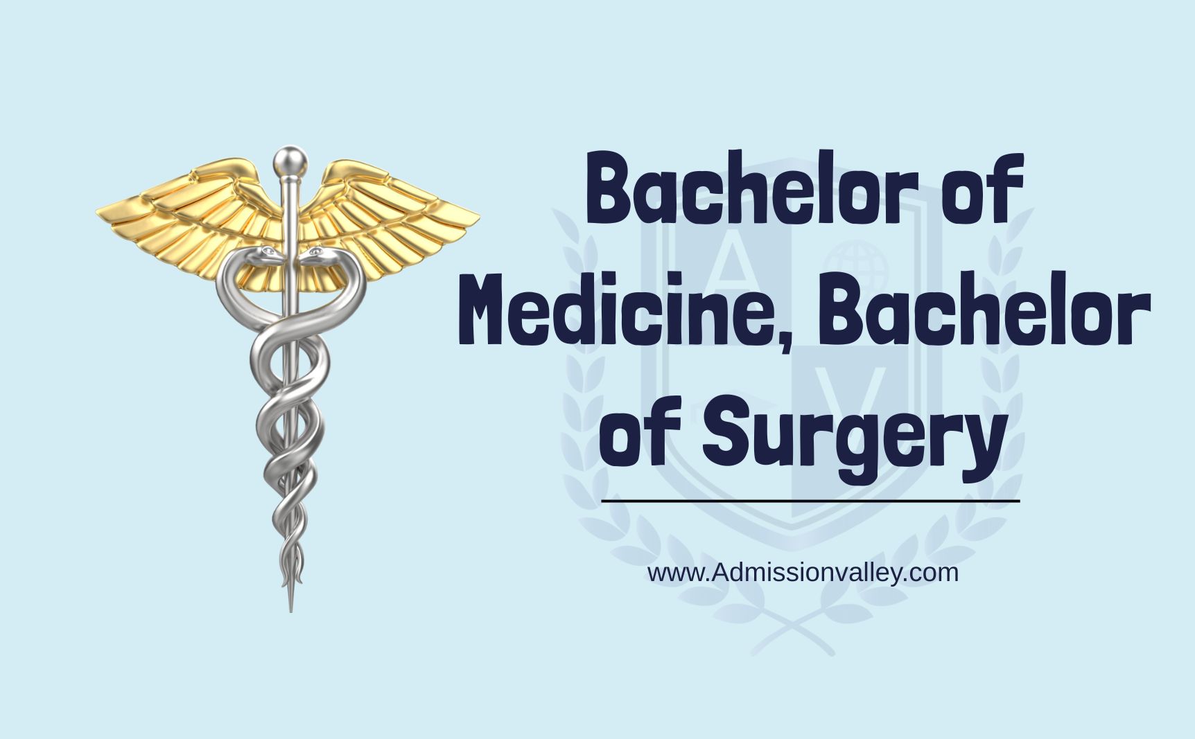 Bachelor of Medicine, Bachelor of Surgery (MBBS) 